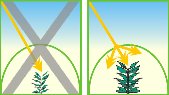 Light Diffused Greenhouse Film for Flowers